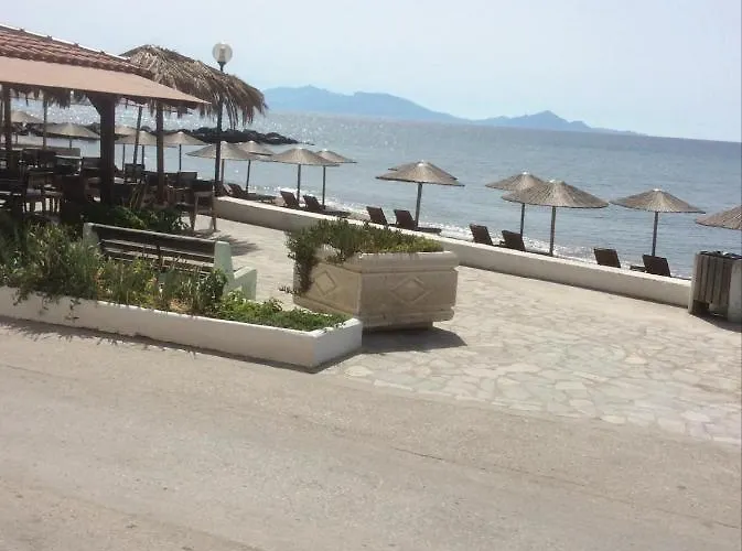 Fania 2 In Front Of The Sea