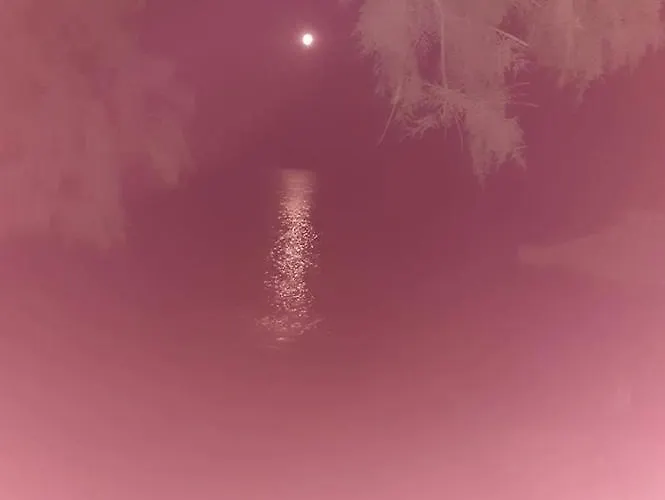 Apartament Fania 2 In Front Of The Sea Kardamena (Kos)