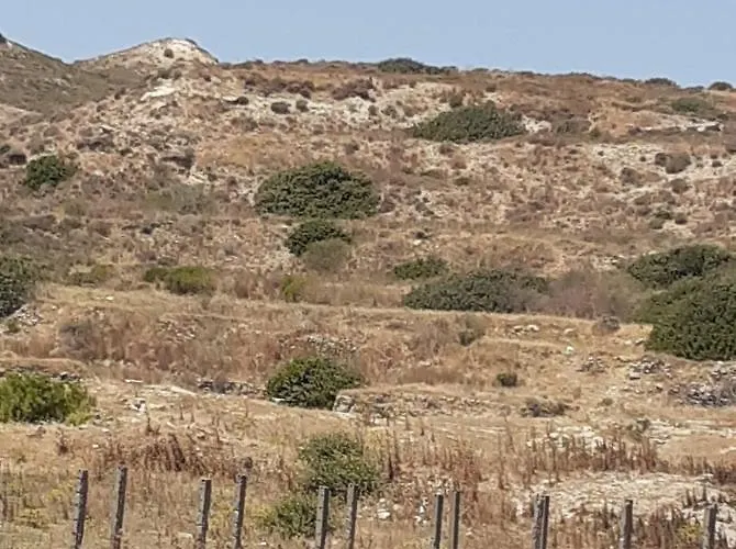 Fania 2 In Front Of The Sea *