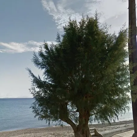 Fania 2 In Front Of The Sea Apartman *