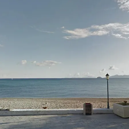 Fania 2 In Front Of The Sea