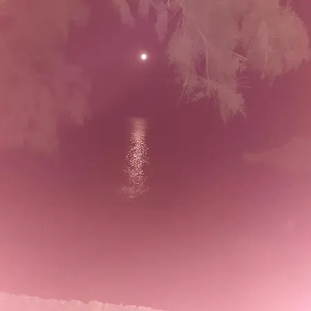 Apartment Fania 2 In Front Of The Sea Kardamena (Kos)