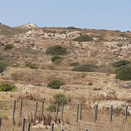 Fania 2 In Front Of The Sea *